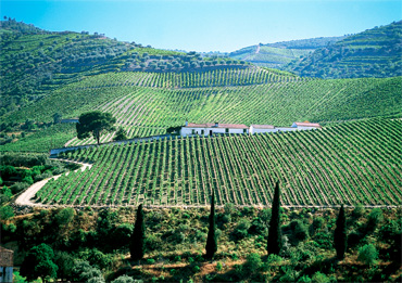 Quinta dos Aciprestes